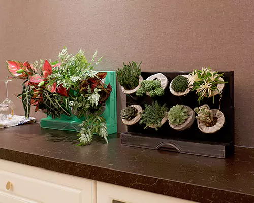 กระถางดอกไม้หลากสีสันทำให้ต้นไม้ของฉันรู้สึกเหมือนกำลังไปเที่ยวพักผ่อนทุกวัน