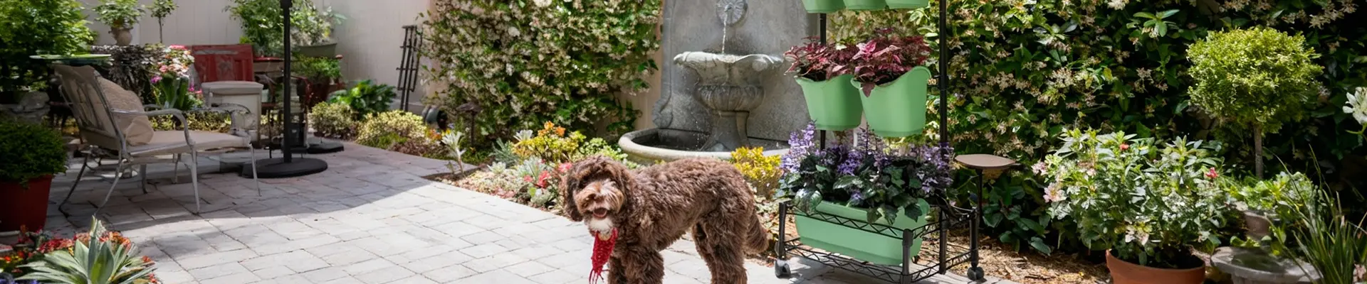 กรีนลิฟวิ่ง