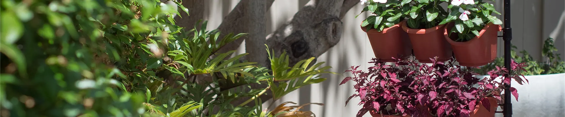 สวนแนวตั้งเชิงนิเวศ