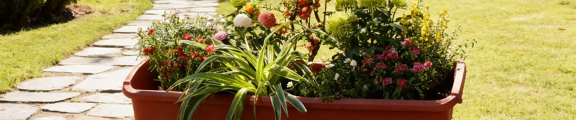 กล่องชาวไร่