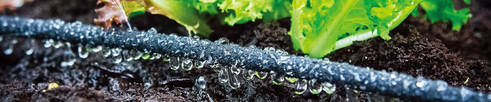 ชุดชลประทาน DIY