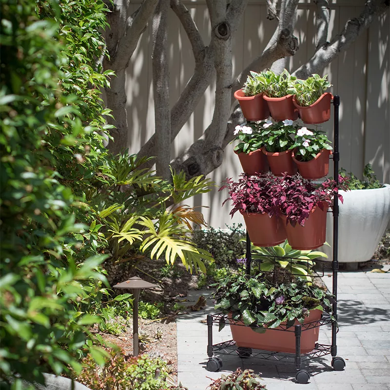 เครื่องปลูกผนังสีเขียวแบบเคลื่อนที่ด้วยโลหะเฟรมเดียว